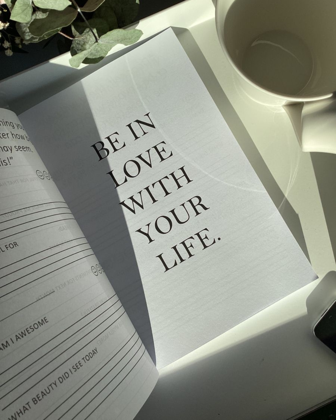 Your Soft Reset: A Simple Gratitude Ritual to Ground You This Season